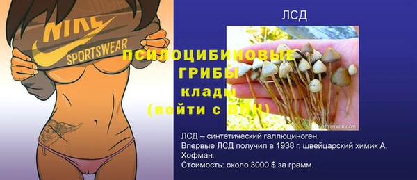 a pvp Алзамай