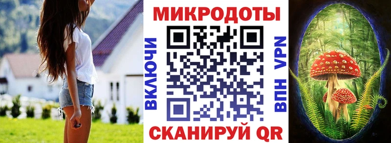 mega ONION  Новотроицк  Псилоцибиновые грибы мицелий 